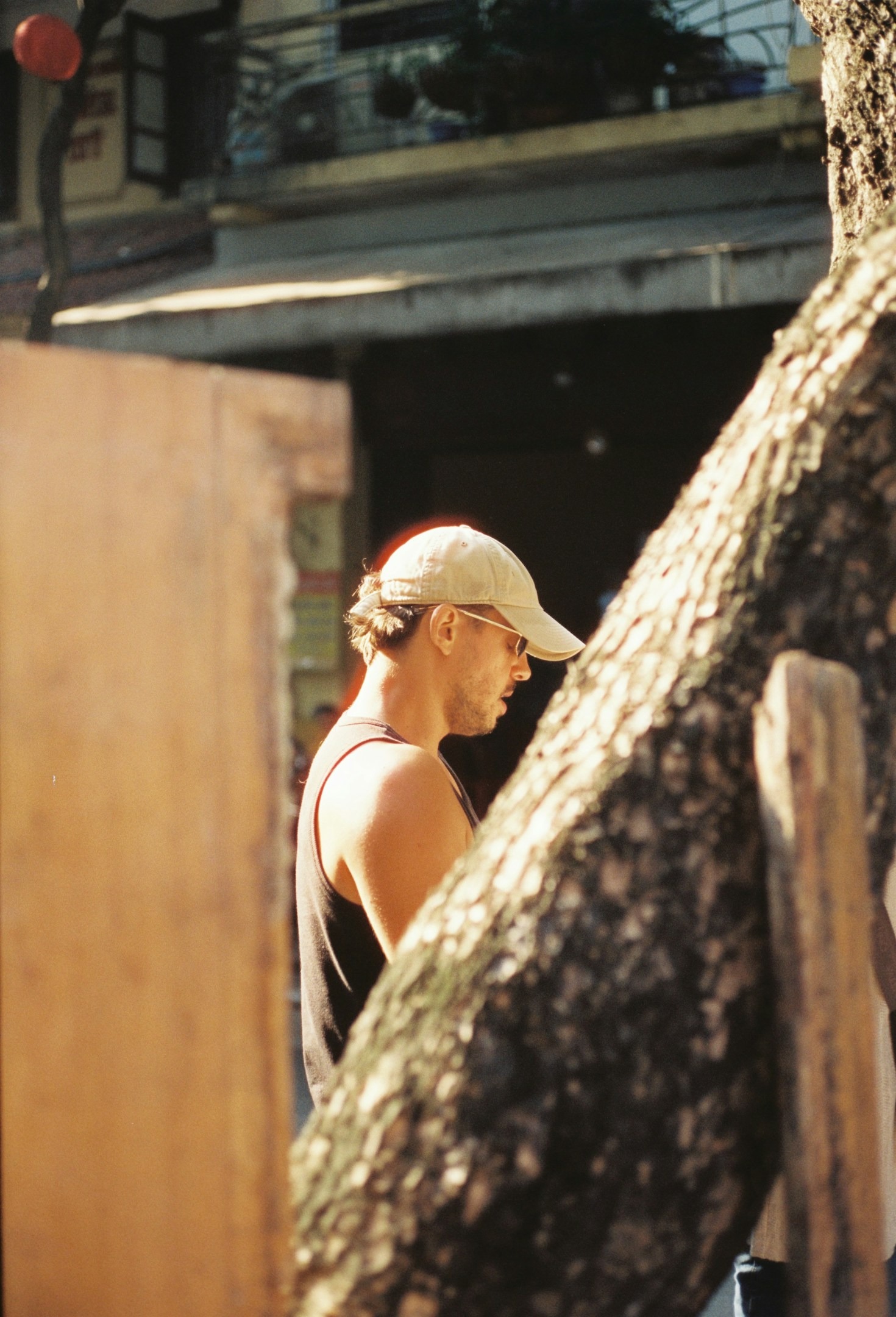 As Paixões de Emanoel Seabra dos Santos